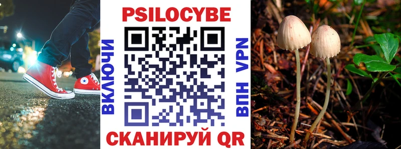 Галлюциногенные грибы MAGIC MUSHROOMS  купить закладку  Пустошка 